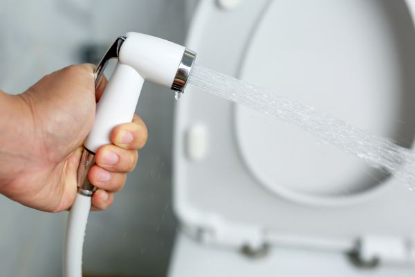 Cost of Bidet Installation in Fond Du Lac