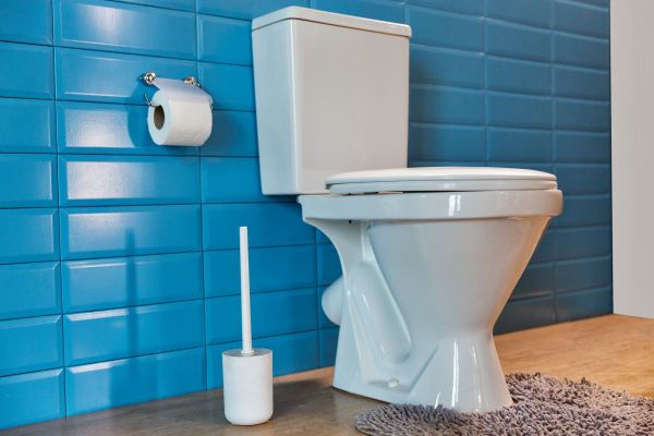 Cost of Toilet Tank Repair in Fond Du Lac