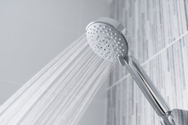 Cost of Showerhead Replacement in Fond Du Lac