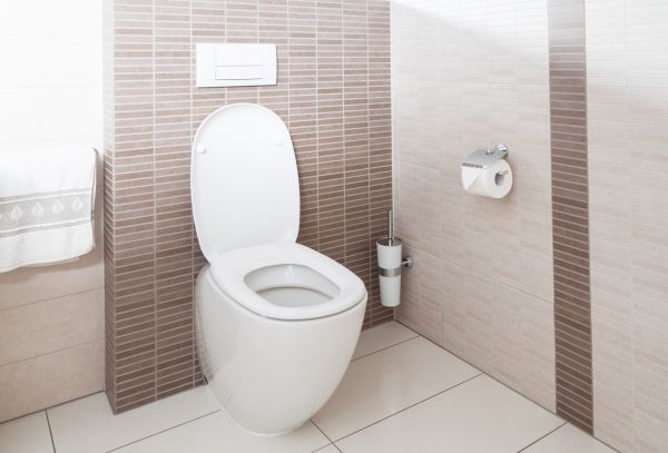 Cost of Toilet Plumbing Installation in Fond Du Lac