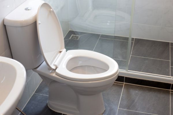 Cost of Water Closet Installation in Fond Du Lac